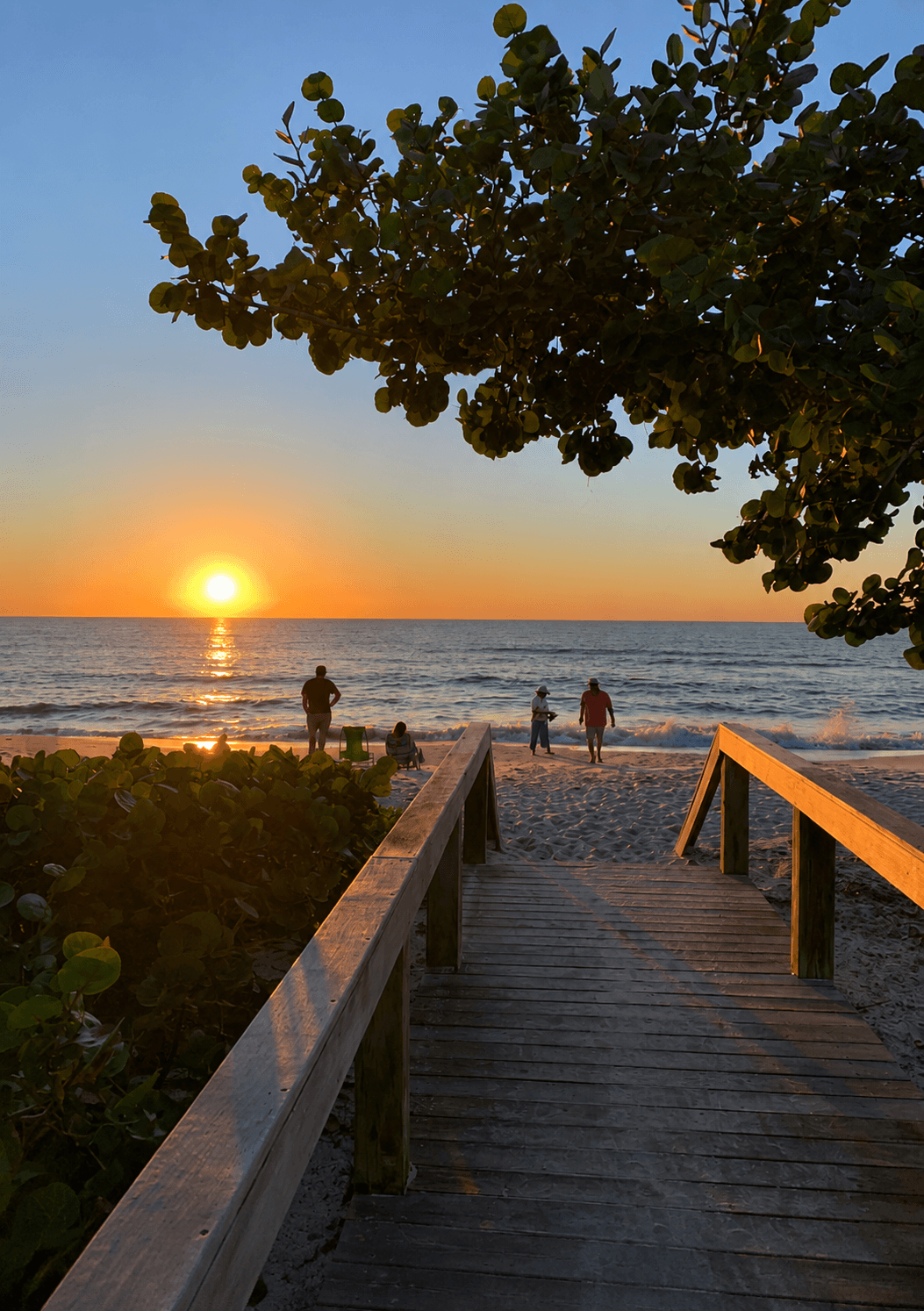 Naples, Florida — Gulf Coast Limousine service area scenery used in website design